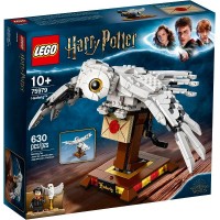 75979 Hedwig